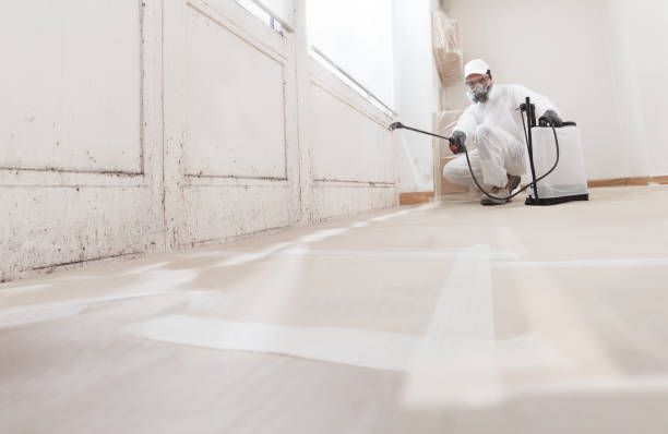 24/7 Emergency Crawl Space Mold Remediation experts in Ingleside, TX